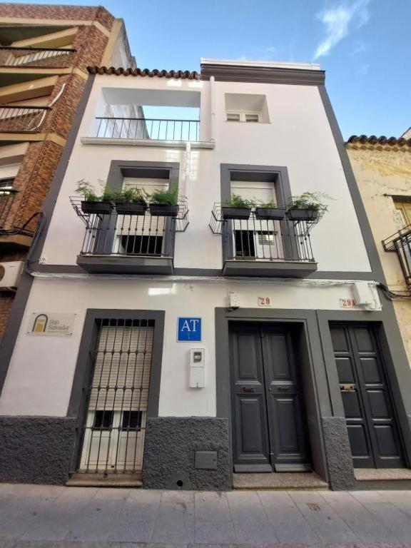 Apartamentos San Salvador Parking Gratis Merida Bagian luar foto